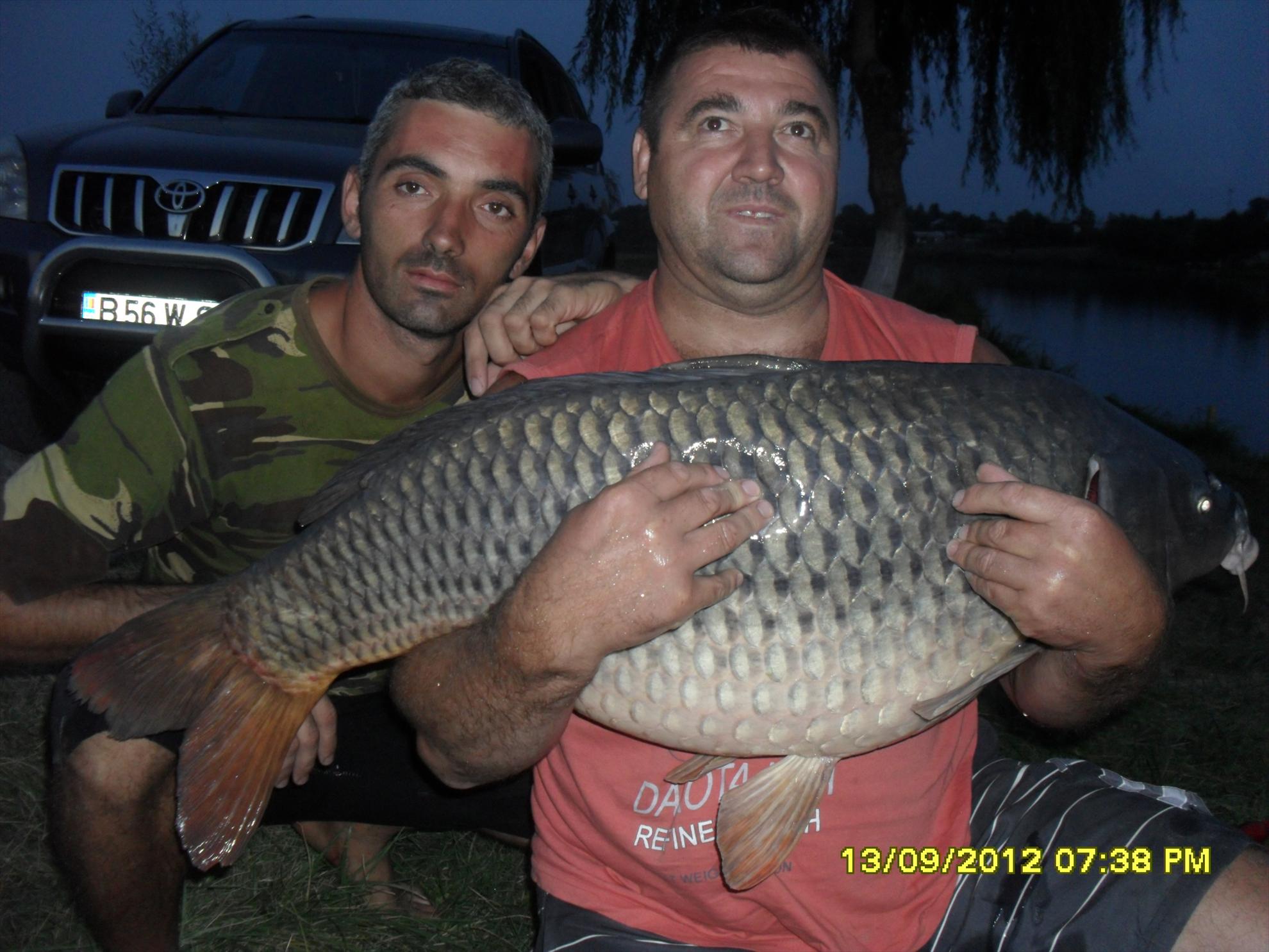 CRAPI CUMPARATI SI ELIBERATI IN MOARA VLASIEI 2 - CRAP COMUN = 18,5 KG